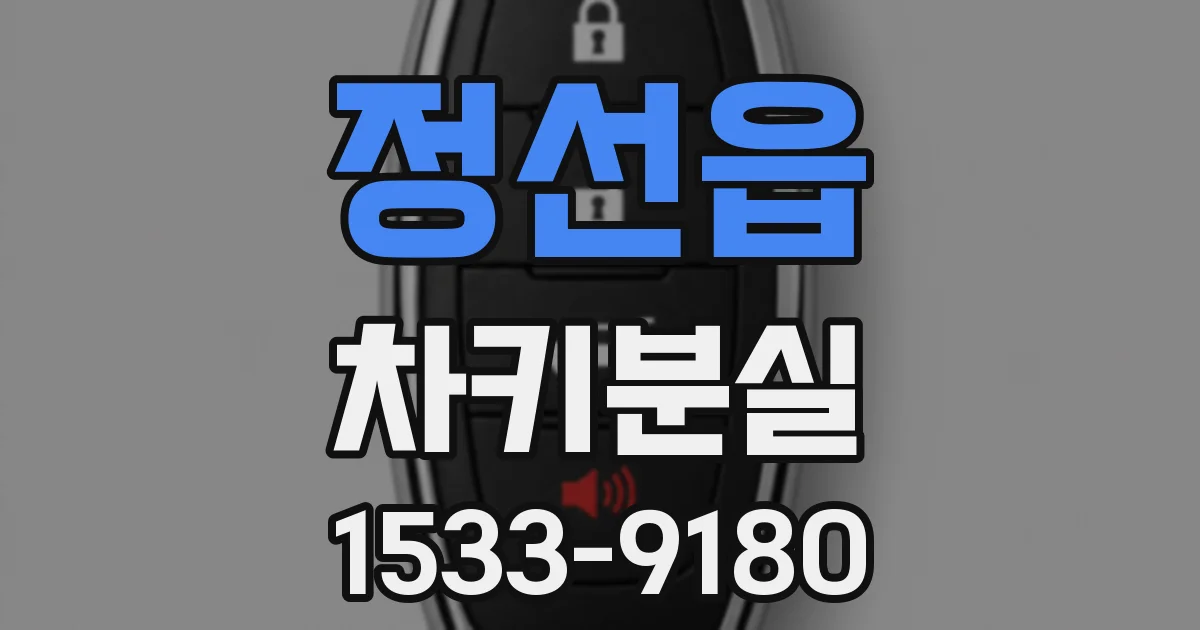정선읍 차키분실