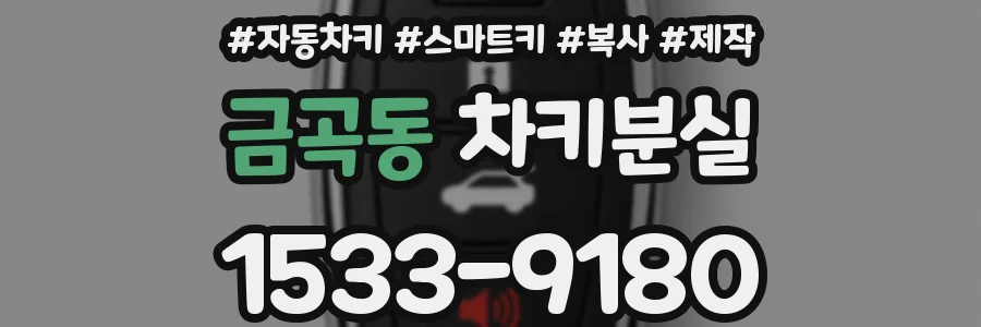 금곡동 차키분실