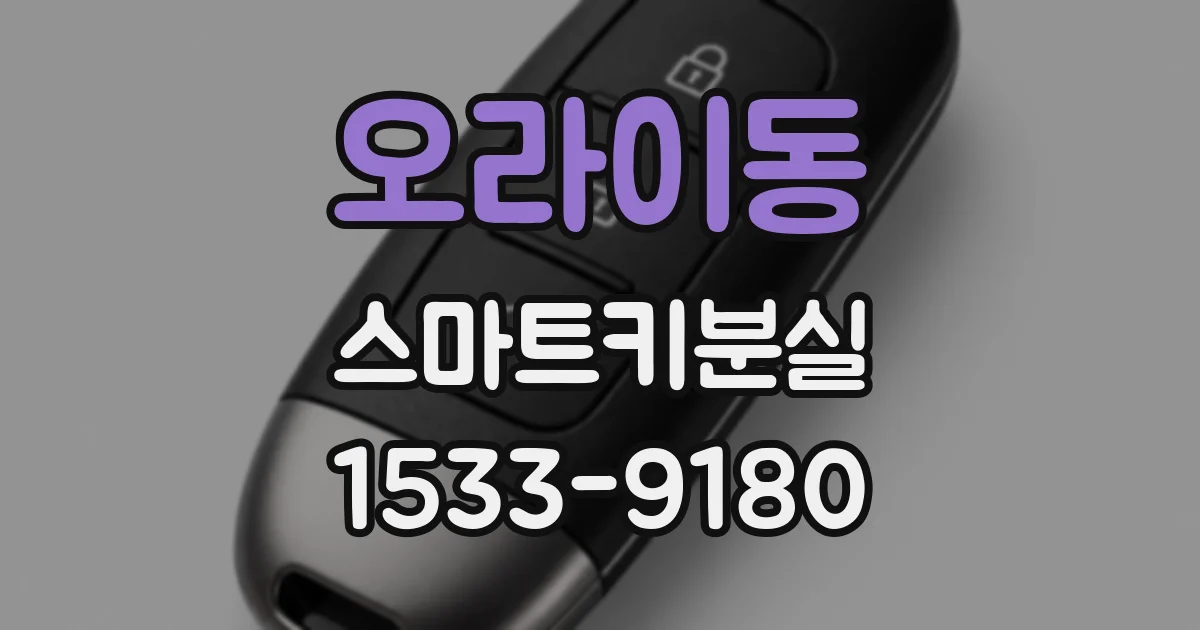 오라이동 스마트키분실