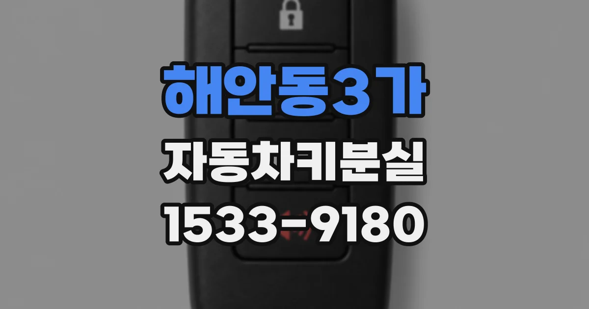해안동3가 자동차키분실