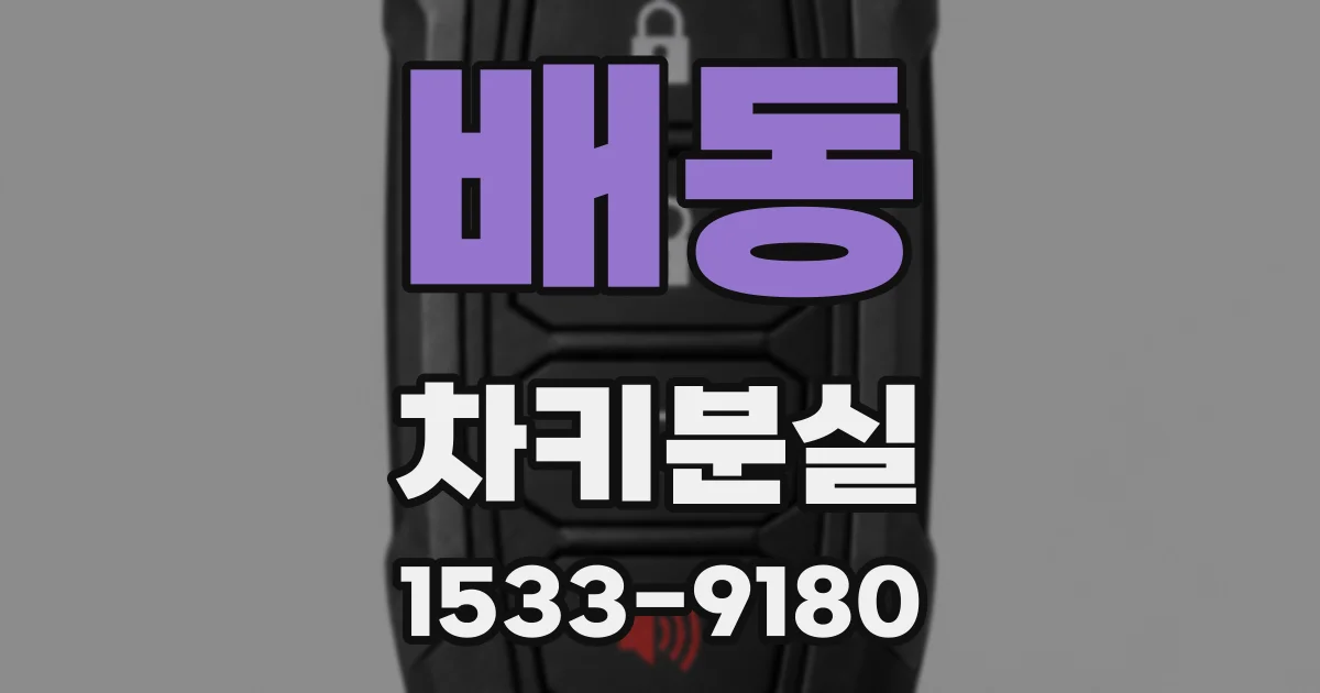 배동 차키분실