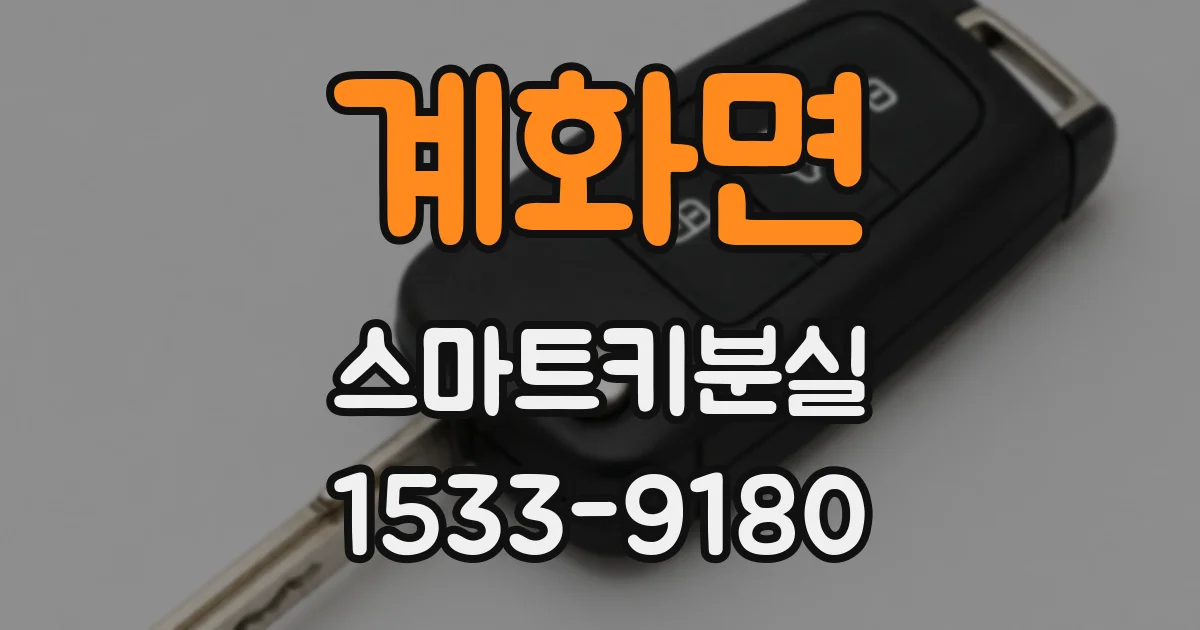 계화면 스마트키분실