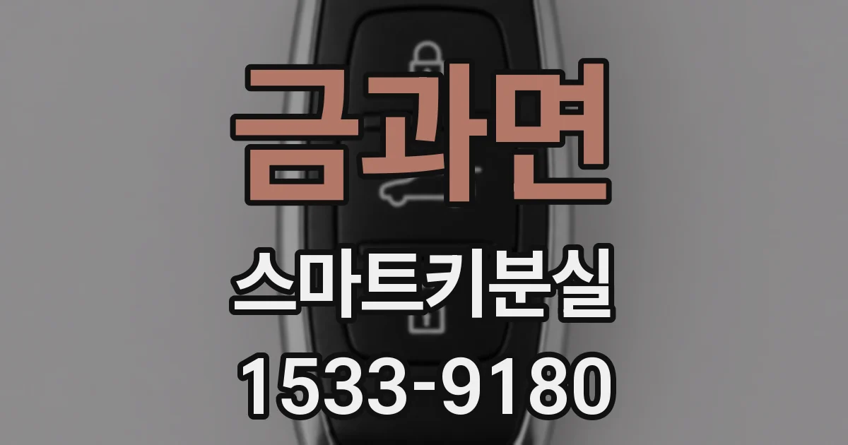 금과면 스마트키분실