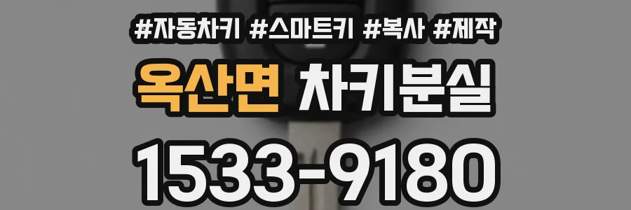 옥산면 차키분실