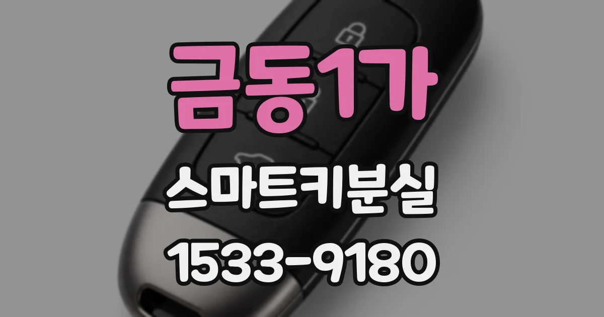 금동1가 스마트키분실