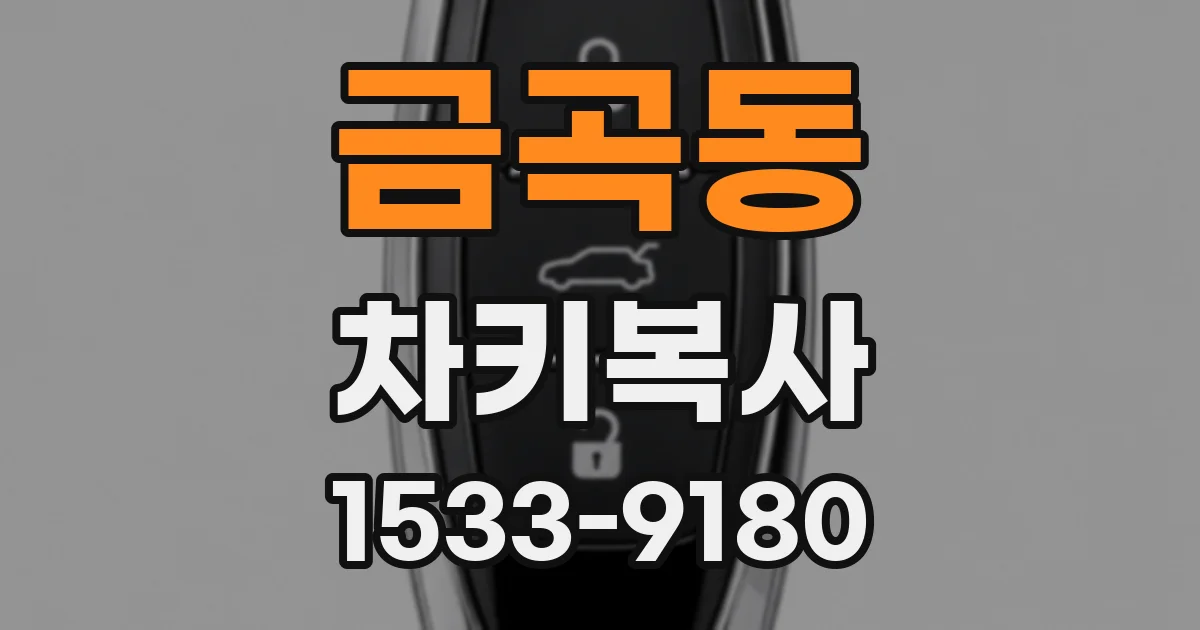 금곡동 차키복사