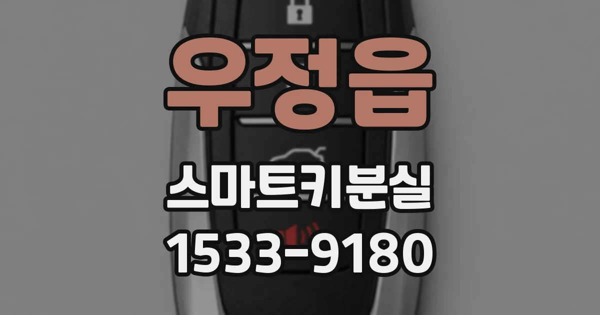 우정읍 스마트키분실