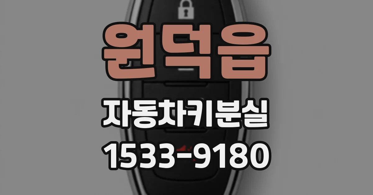 원덕읍 자동차키분실