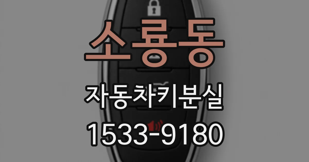 소룡동 자동차키분실