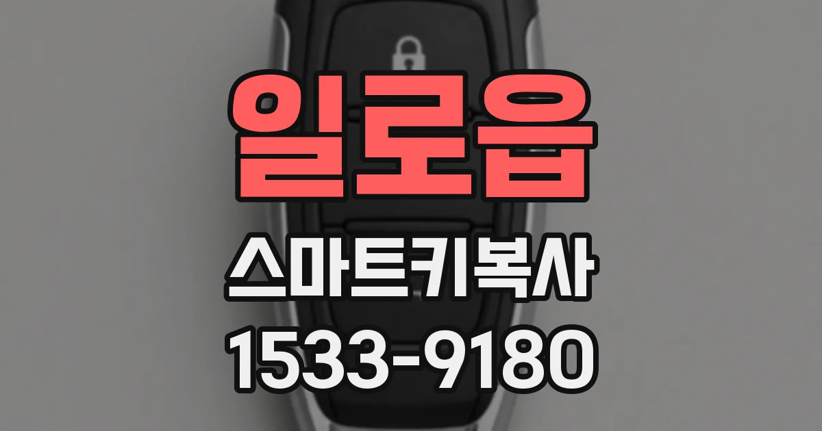 일로읍 스마트키복사