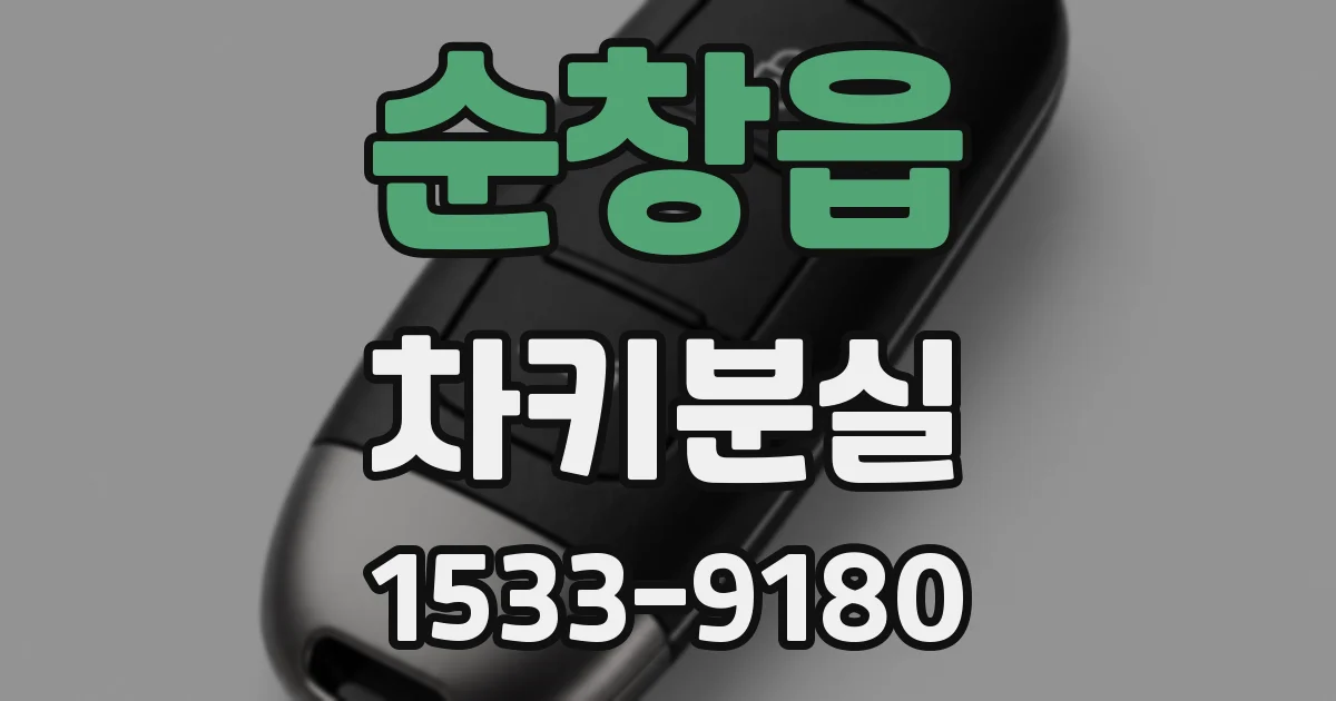 순창읍 차키분실
