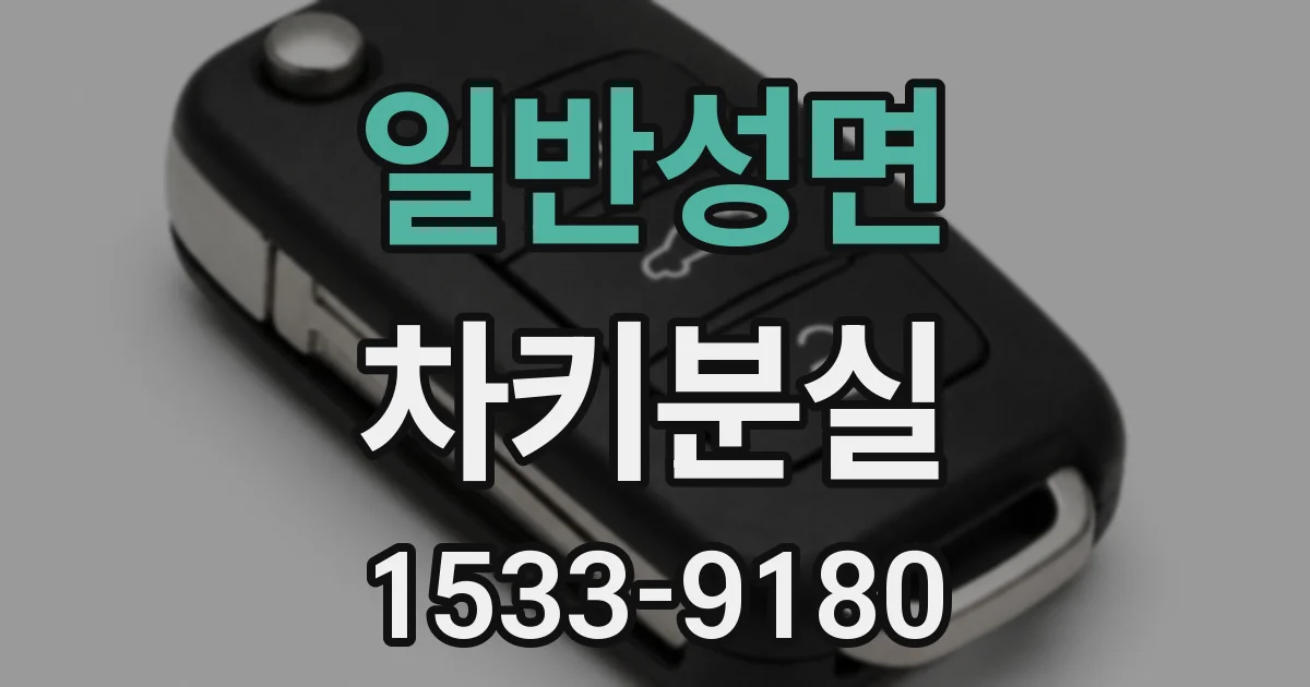 일반성면 차키분실
