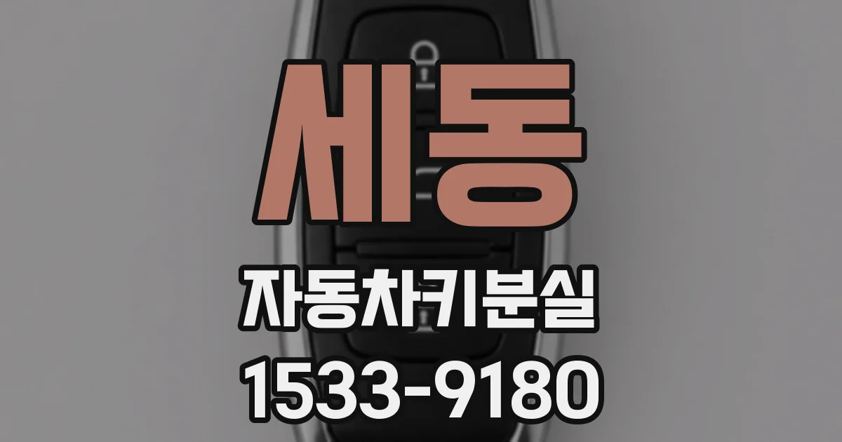 세동 자동차키분실