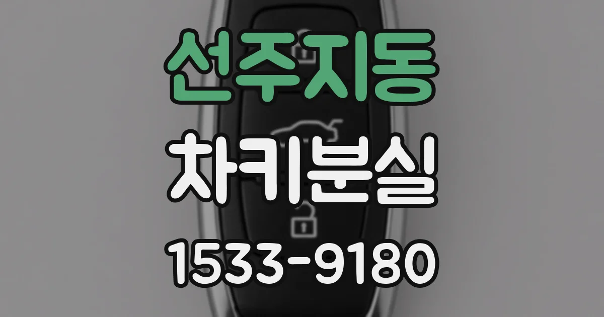 선주지동 차키분실