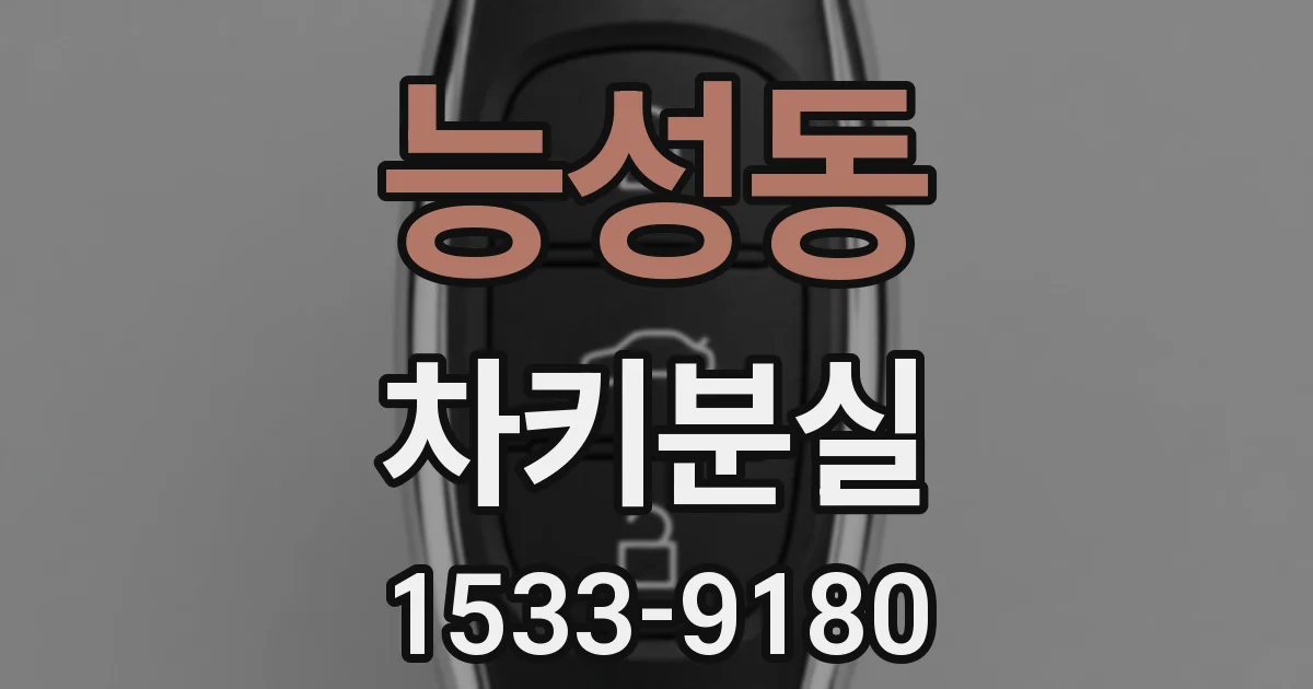능성동 차키분실