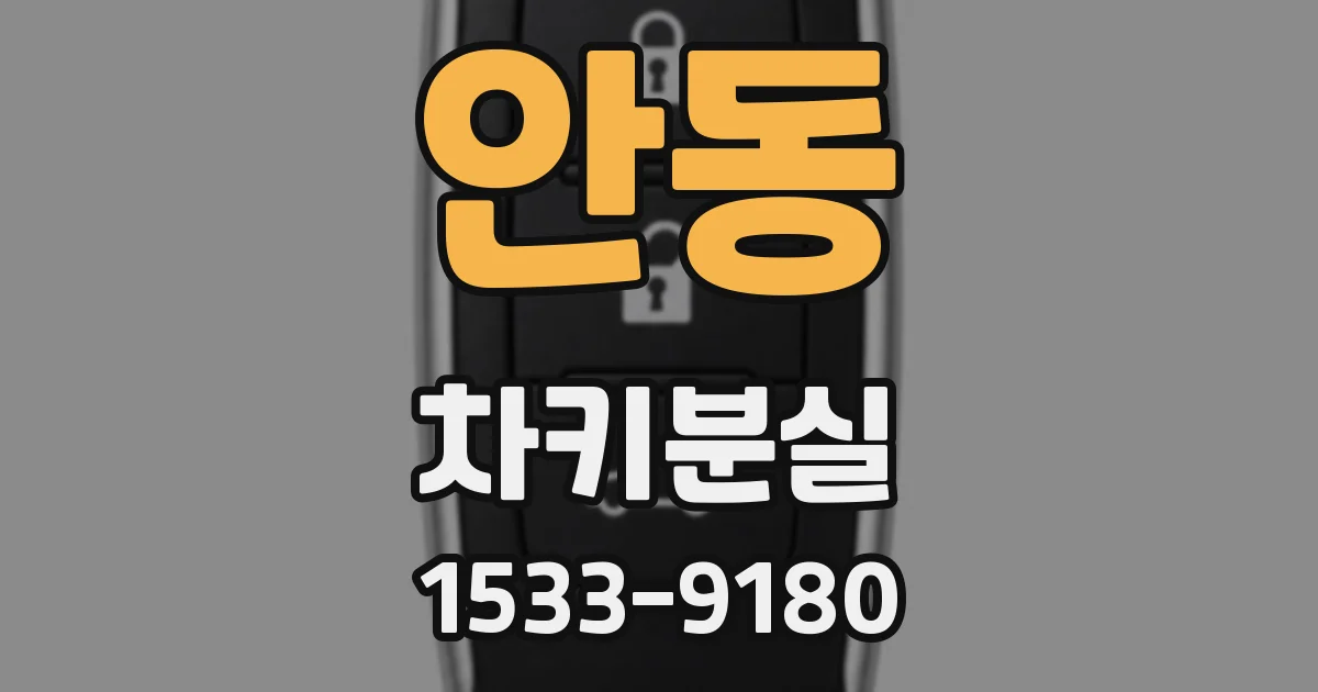 안동 차키분실