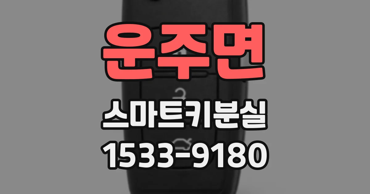 운주면 스마트키분실