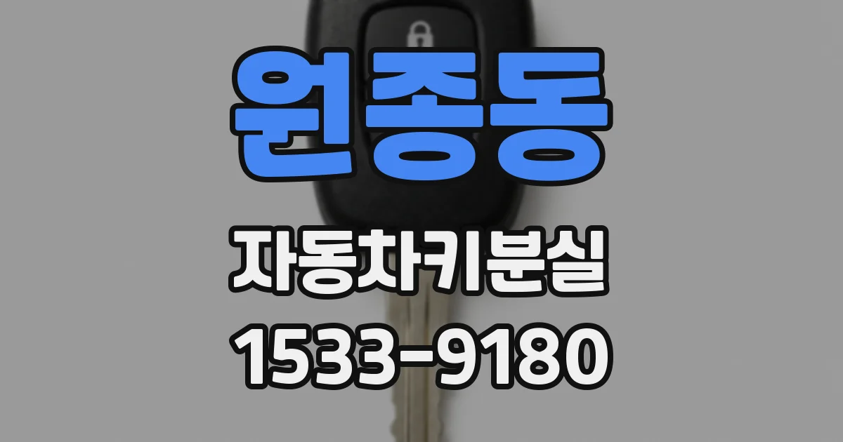 원종동 자동차키분실