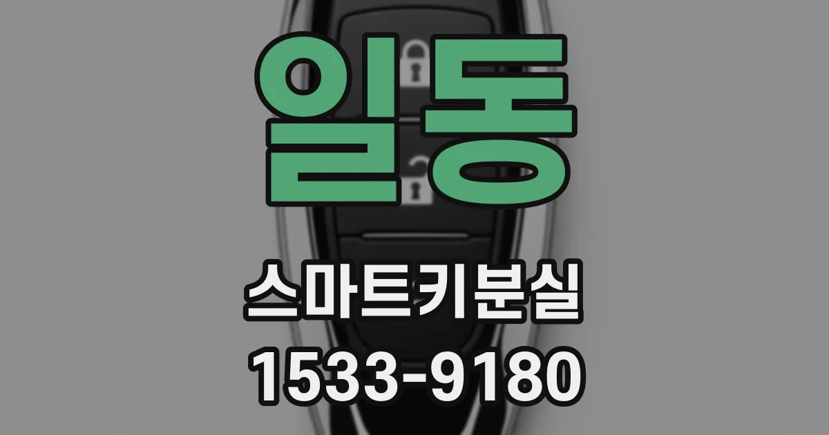 일동 스마트키분실