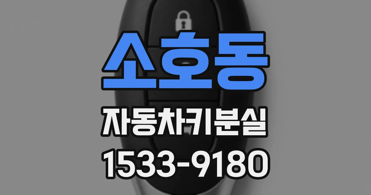 소호동 자동차키분실