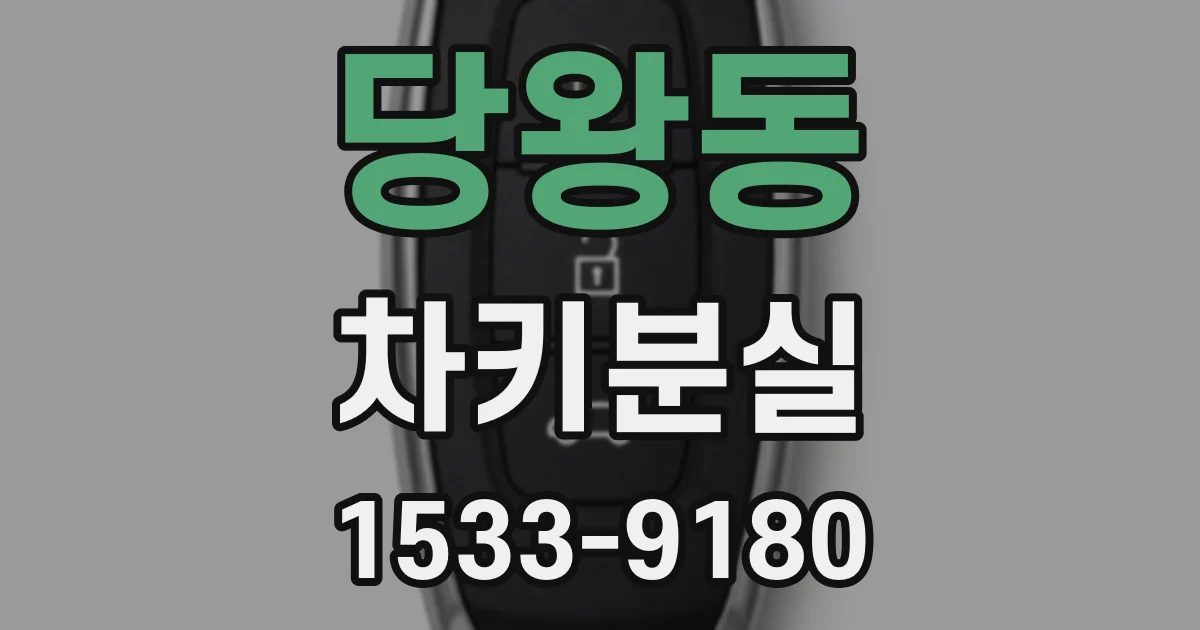 당왕동 차키분실