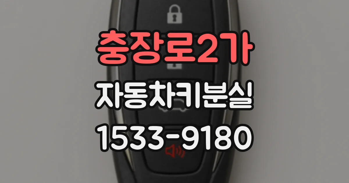 충장로2가 자동차키분실