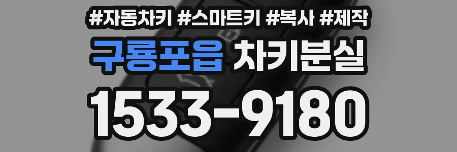 구룡포읍 차키분실