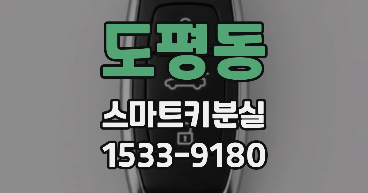도평동 스마트키분실