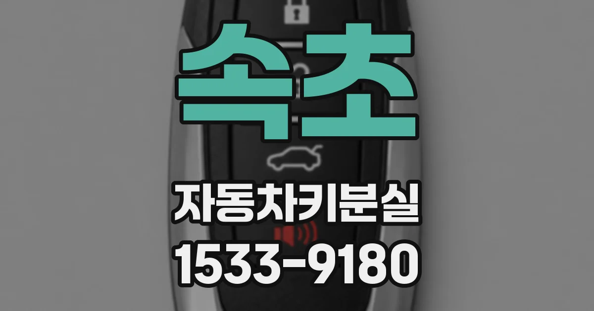 속초 자동차키분실