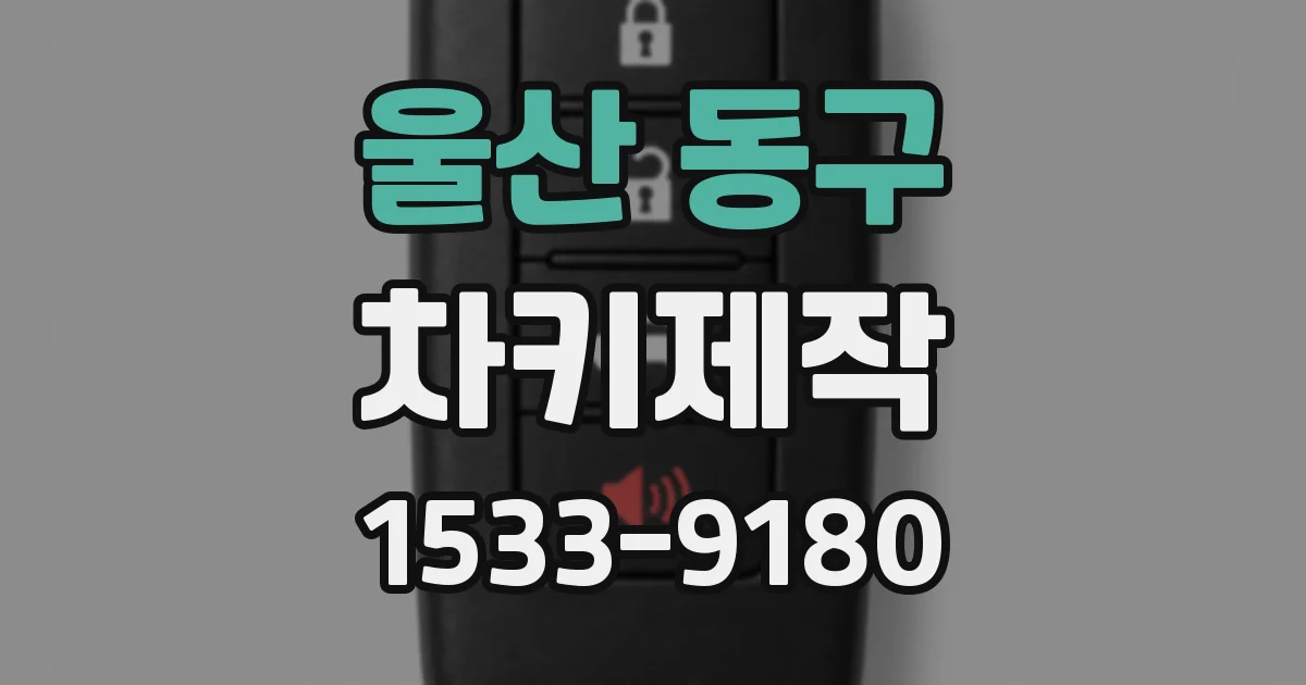 울산 동구 차키제작