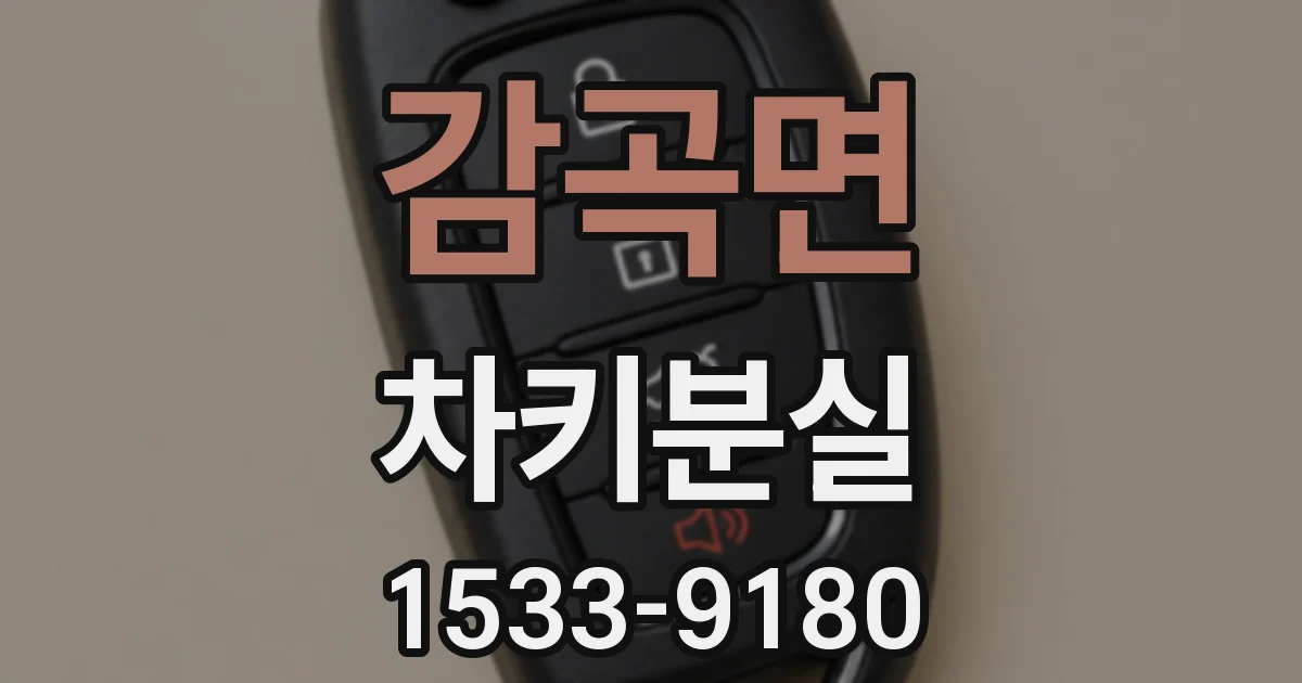 감곡면 차키분실