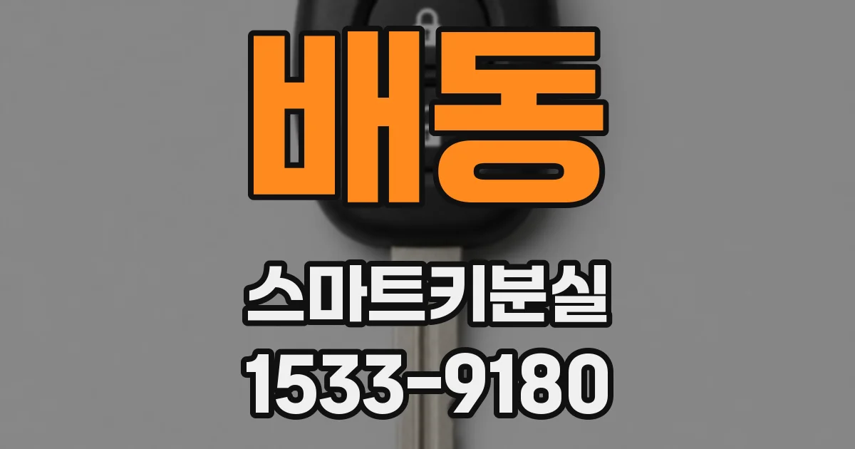 배동 스마트키분실