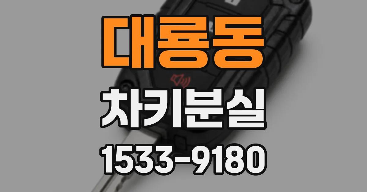 대룡동 차키분실