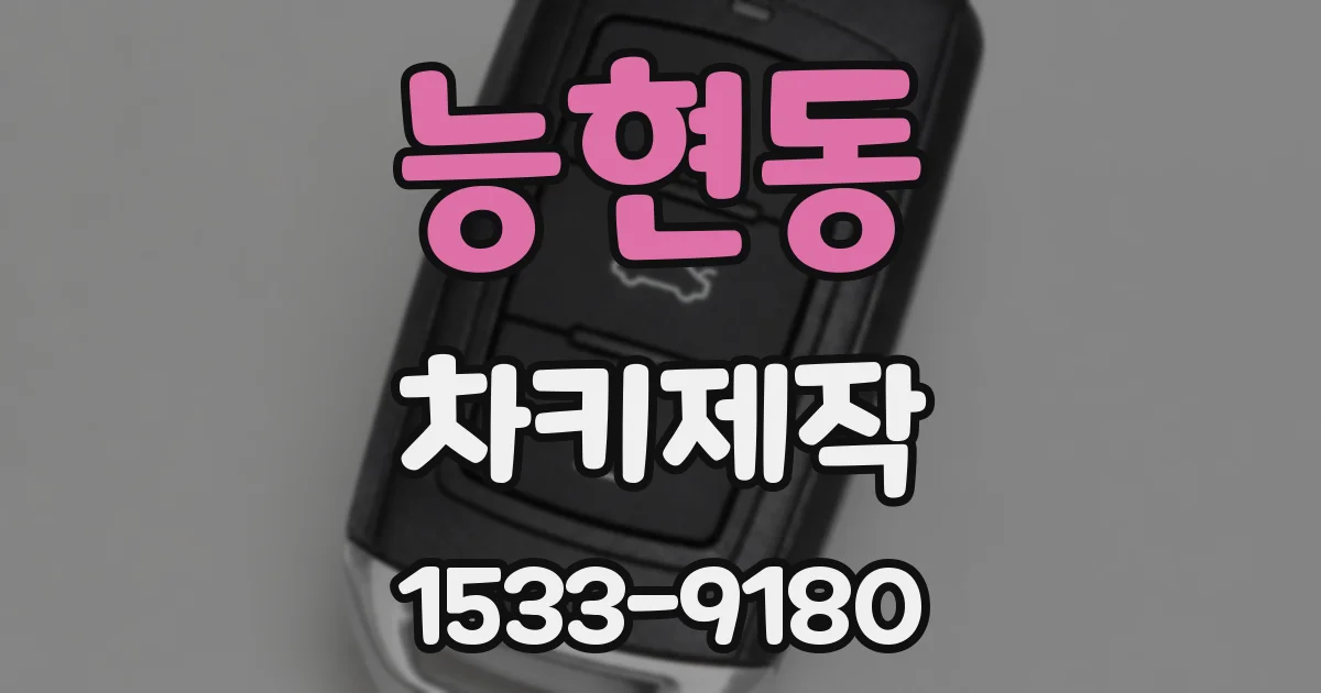 능현동 차키제작