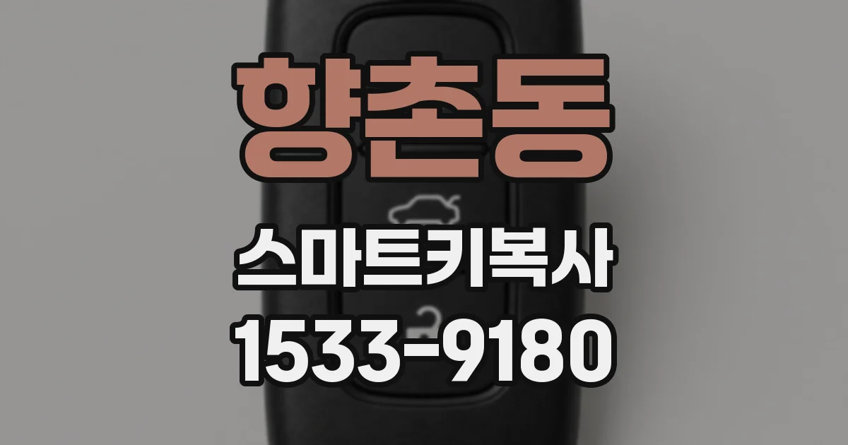 향촌동 스마트키복사