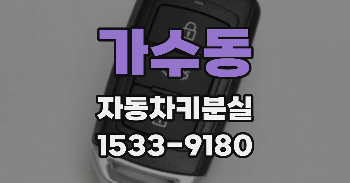 가수동 자동차키분실