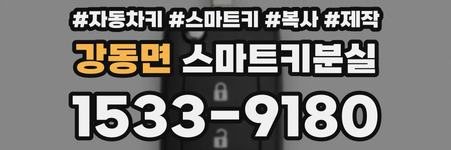 강동면 스마트키분실