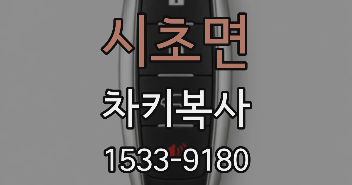 시초면 차키복사