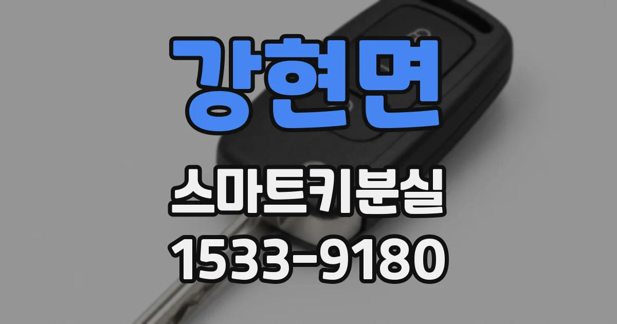 강현면 스마트키분실