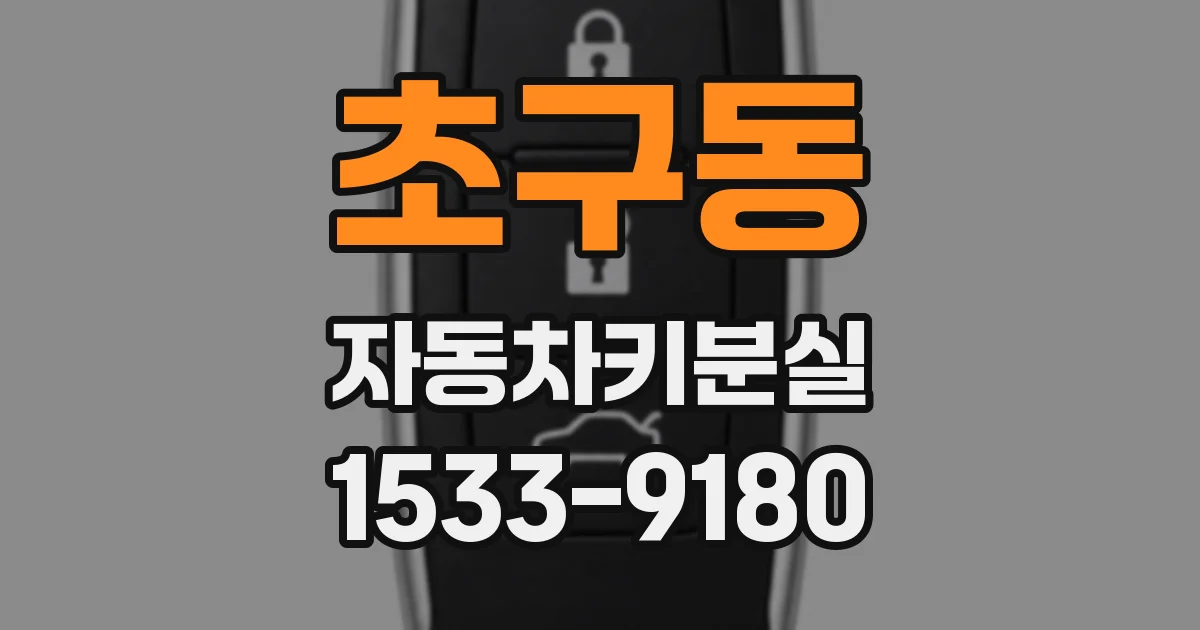 초구동 자동차키분실