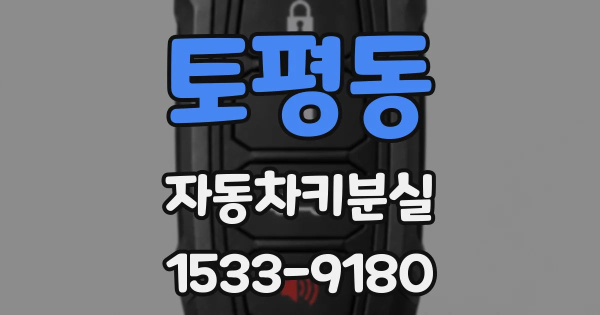 토평동 자동차키분실