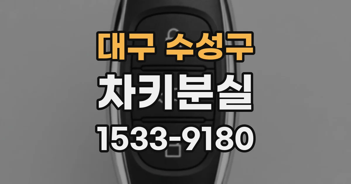 대구 수성구 차키분실