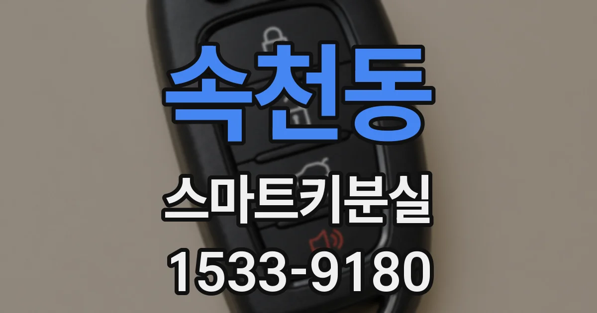 속천동 스마트키분실