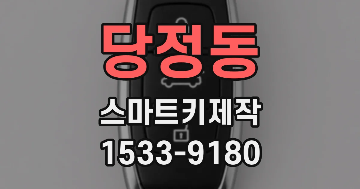 당정동 스마트키제작