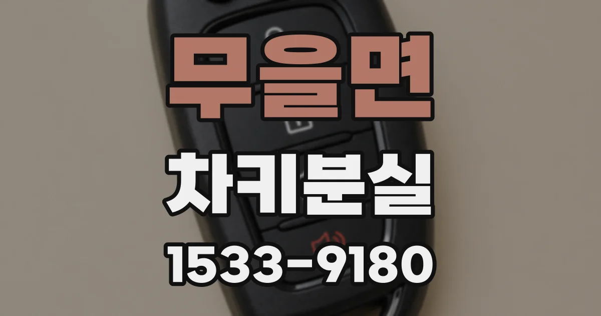 무을면 차키분실