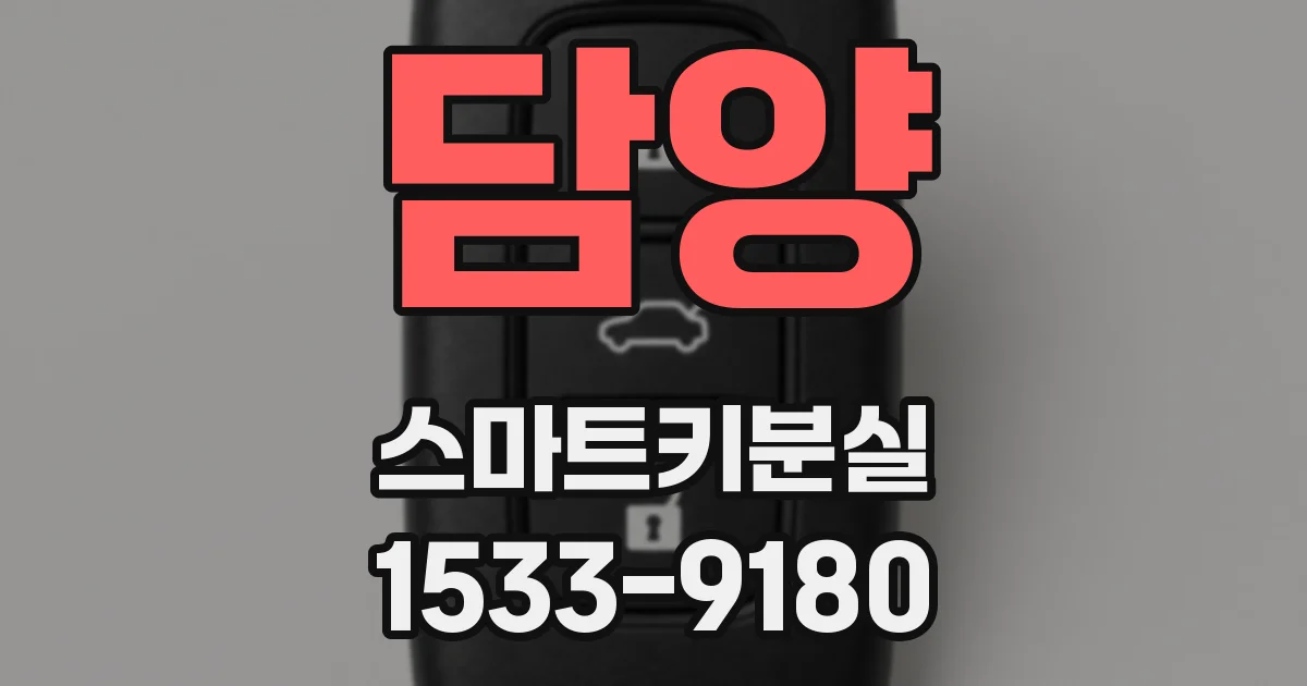담양 스마트키분실