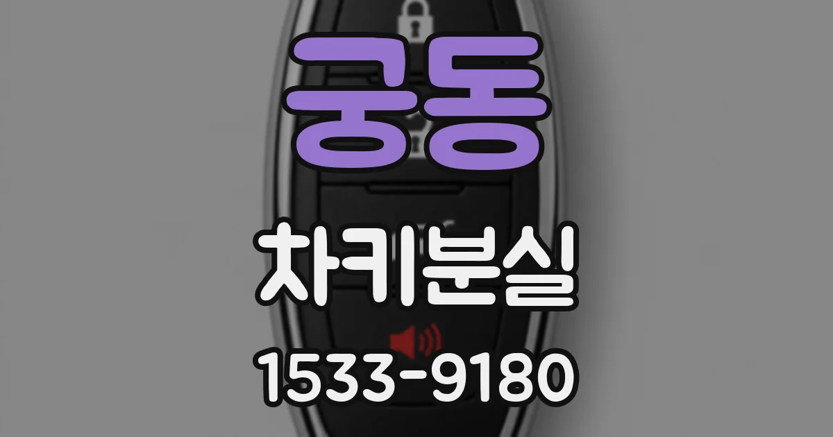 궁동 차키분실