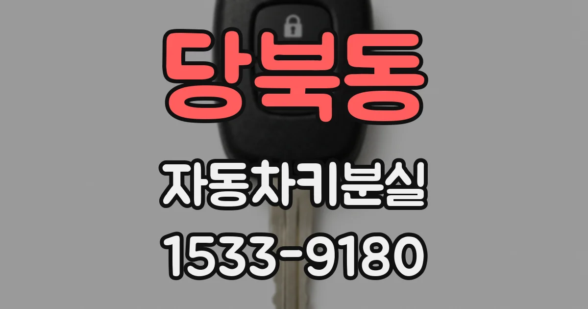 당북동 자동차키분실