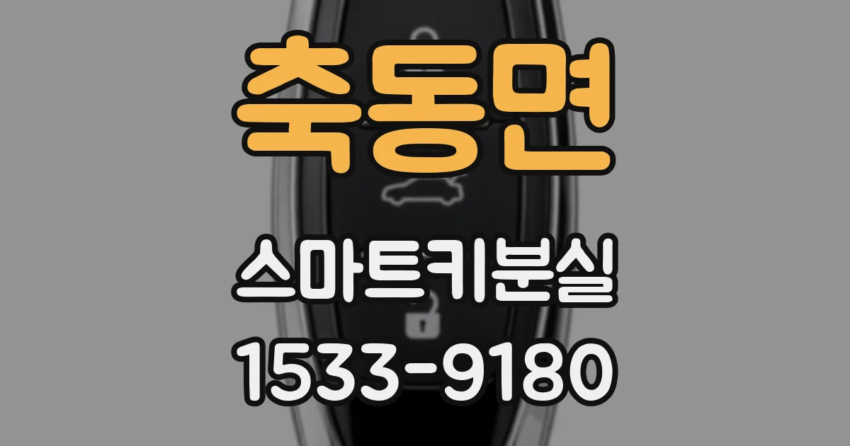 축동면 스마트키분실