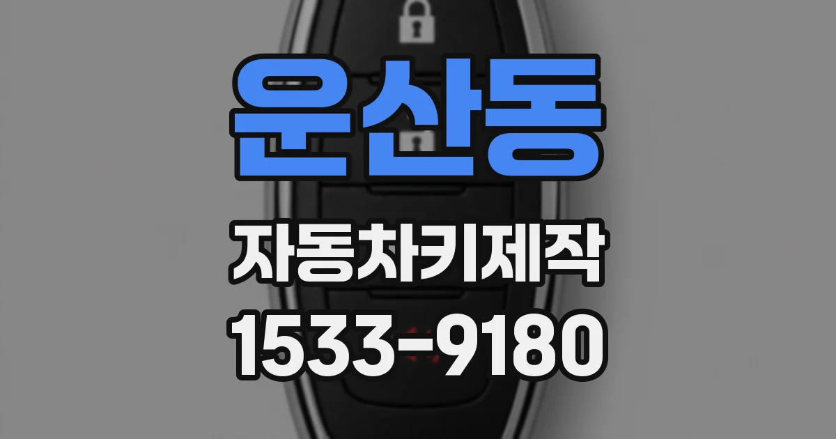 운산동 자동차키제작